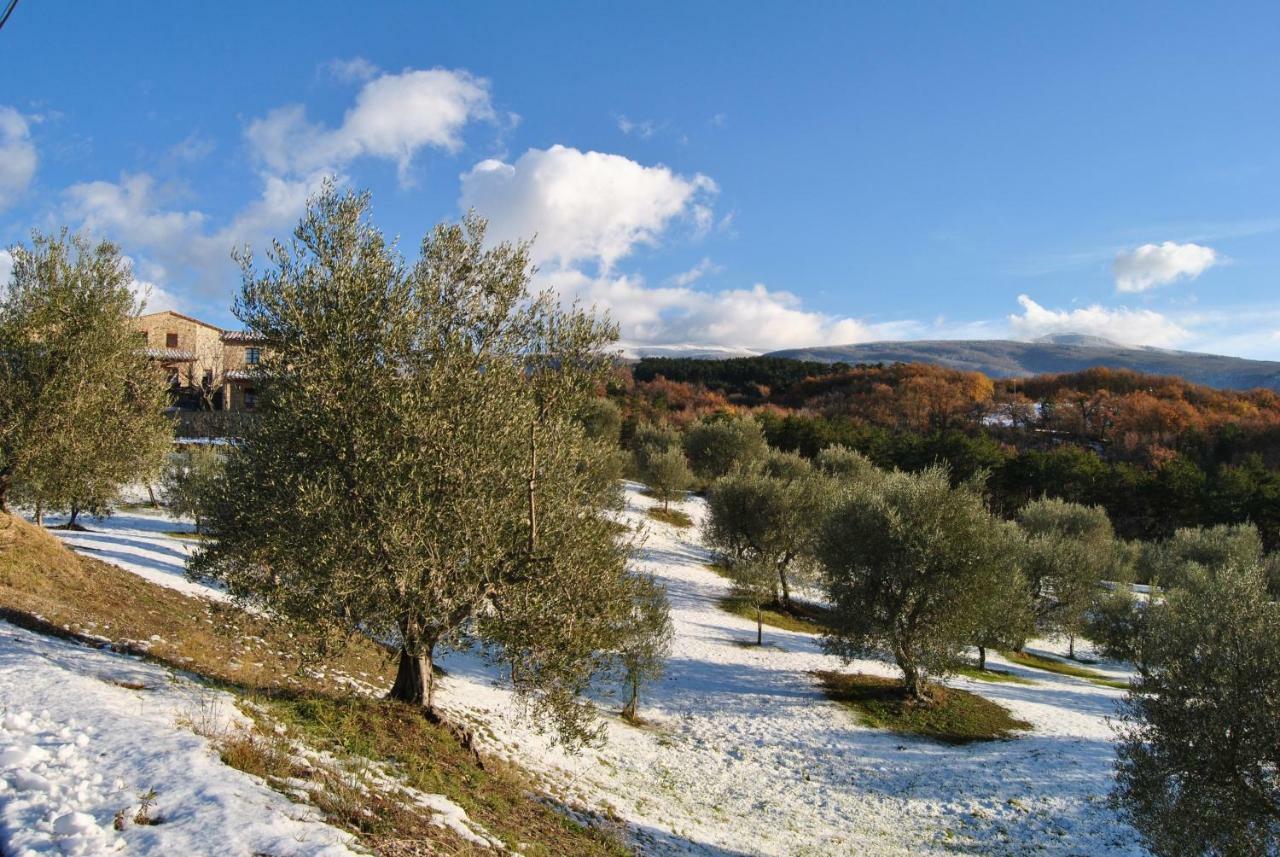 Casa Fioranna Villa Seggiano Dış mekan fotoğraf